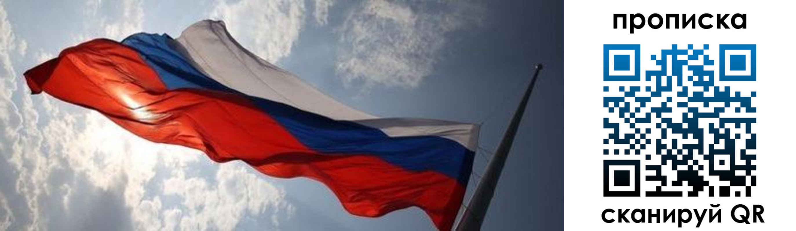 прописка штамп в Нелидово