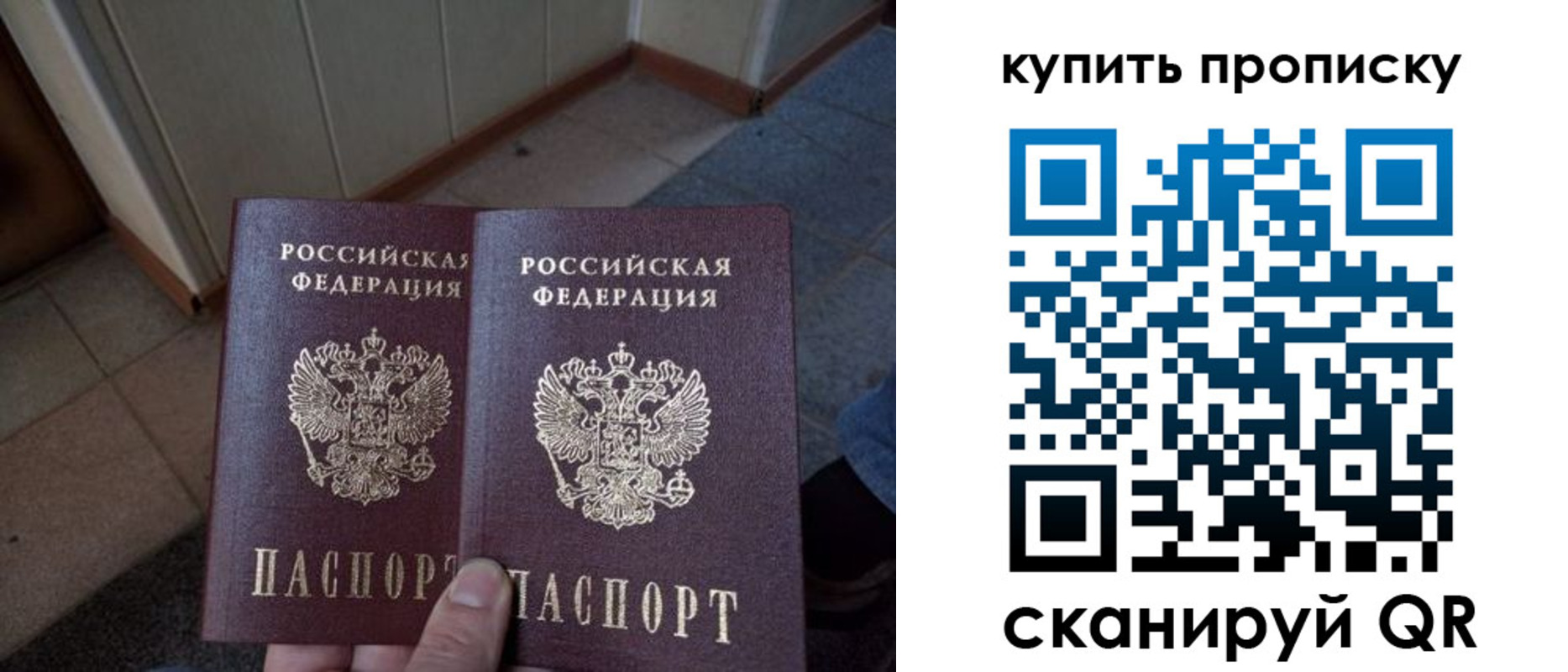 купить прописку в Нелидово